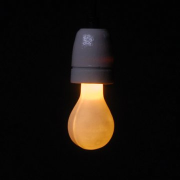 bulbs_